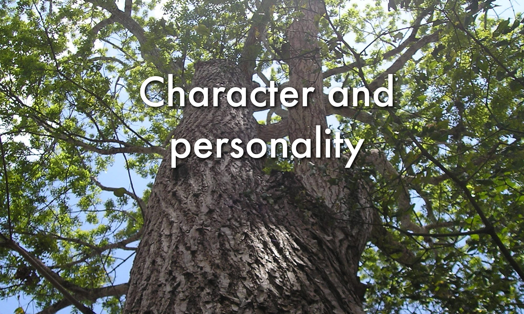 Character and personality